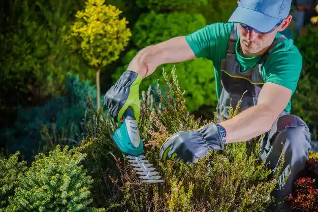 landscaping services Millbury